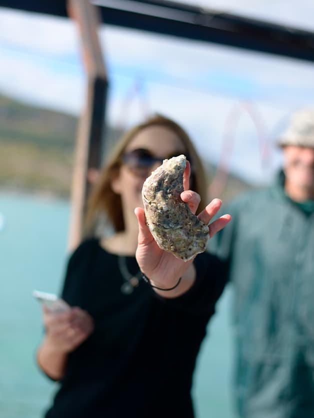 Oysters1
