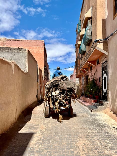 Tanneries7