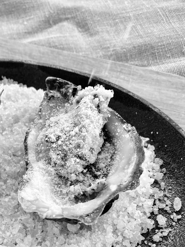 Oysters9