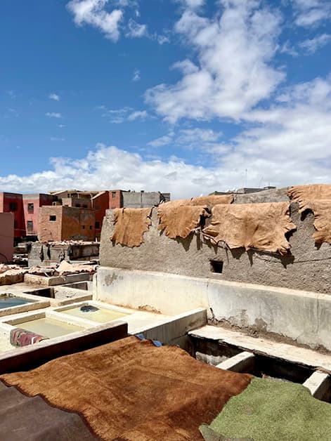 Tanneries6