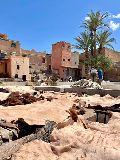 Tanneries5
